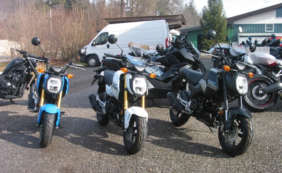 Offer Honda MSX125 Grom Bild 3: Offer Honda MSX125 Grom