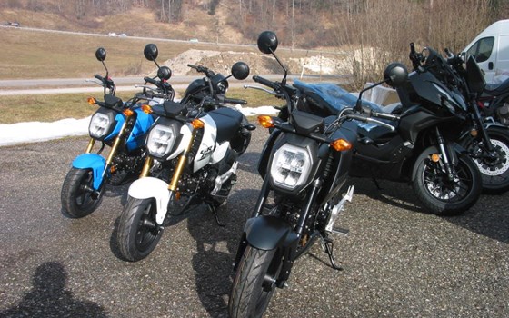 Neufahrzeug Honda MSX125 Grom - Bild 4