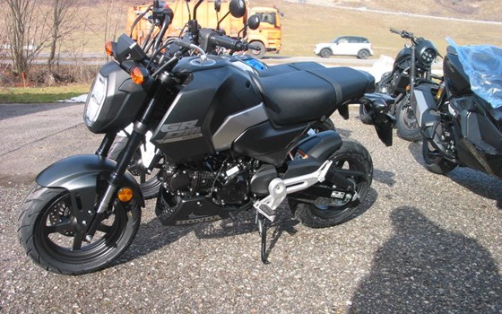 Neufahrzeug Honda MSX125 Grom - Bild 5