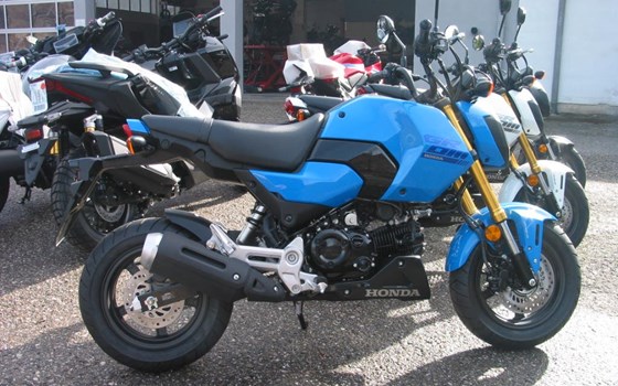 Neufahrzeug Honda MSX125 Grom - Bild 6