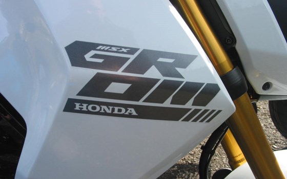 Neufahrzeug Honda MSX125 Grom - Bild 8