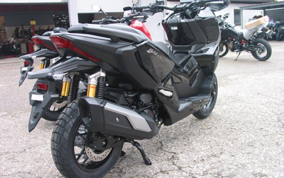 Neufahrzeug Honda ADV350 - Bild 5