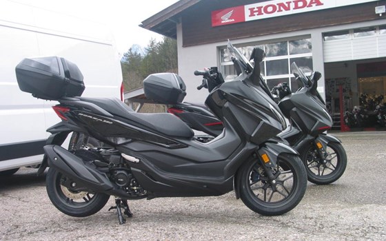 Neufahrzeug Honda Forza 350 - Bild 1