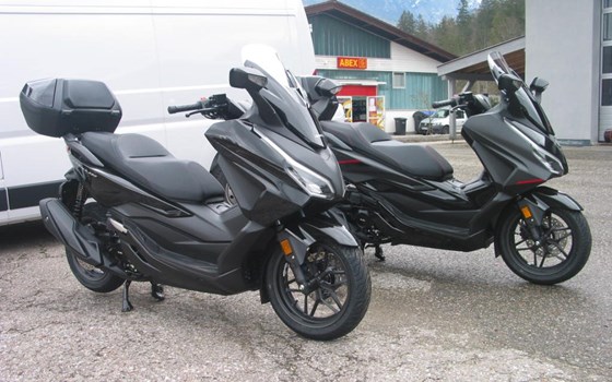 Neufahrzeug Honda Forza 350 - Bild 2