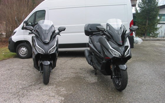 Neufahrzeug Honda Forza 350 - Bild 3