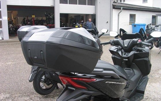 Neufahrzeug Honda Forza 350 - Bild 7