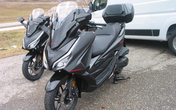 Neufahrzeug Honda Forza 350 - Bild 8