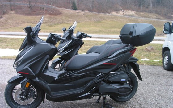 Neufahrzeug Honda Forza 350 - Bild 9