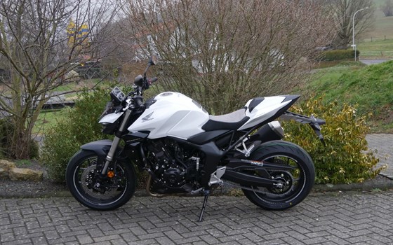 Neufahrzeug Honda CB1000 Hornet - Bild 5
