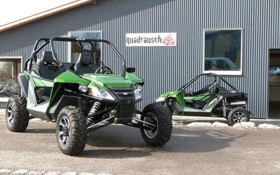 Gebrauchtmotorrad Arctic Cat Wild Cat 1000i - Bild 3