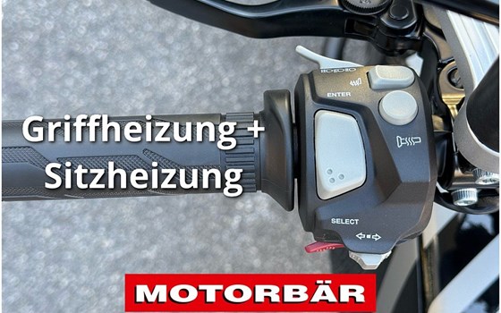 Neufahrzeug QJ Motor SRT 600 SX - Bild 11