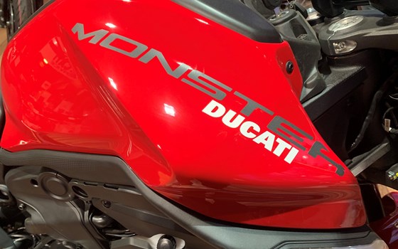 Neufahrzeug Ducati Monster + - Bild 2 Neufahrzeug Ducati Monster + - Bild 2