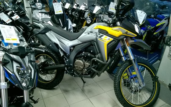 Neufahrzeug Voge 300 Rally - Bild 17