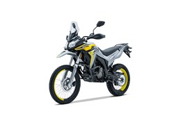 Neumotorrad Voge 300 Rally