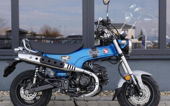 Neufahrzeug Honda Dax 125 - Bild 1