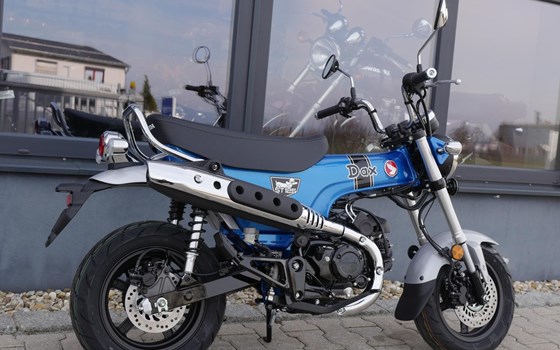 Neufahrzeug Honda Dax 125 - Bild 4