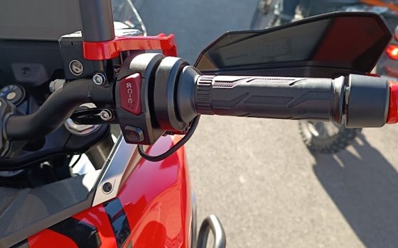 Neufahrzeug QJ Motor SRT 600 SX - Bild 8