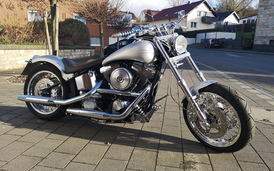 Gebrauchtmotorrad Harley-Davidson Softail Standard FXST - Bild 1