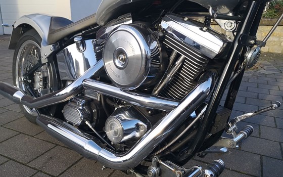 Gebrauchtmotorrad Harley-Davidson Softail Standard FXST - Bild 13