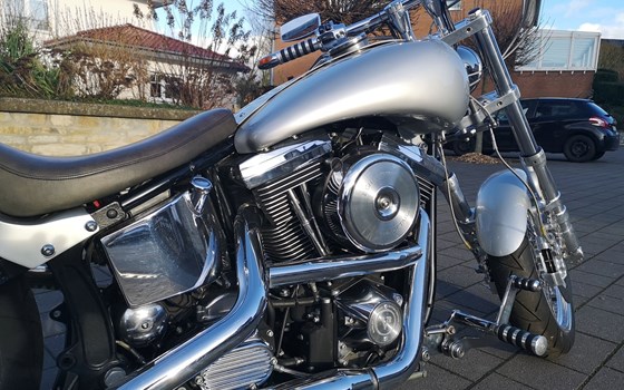 Gebrauchtmotorrad Harley-Davidson Softail Standard FXST - Bild 2