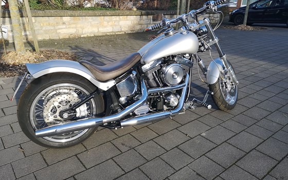 Gebrauchtmotorrad Harley-Davidson Softail Standard FXST - Bild 8