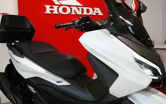 Neufahrzeug Honda Forza 350 - Bild 5 Neufahrzeug Honda Forza 350 - Bild 5