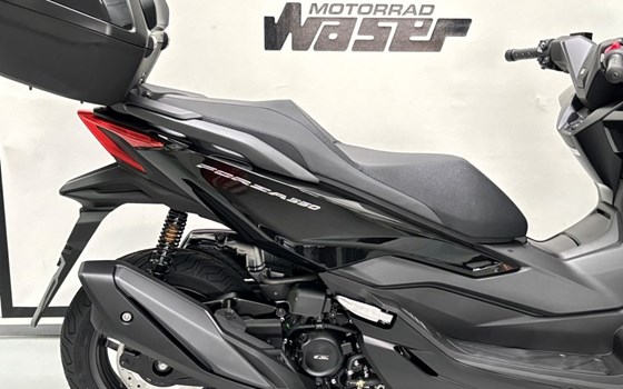 Neufahrzeug Honda Forza 350 - Bild 2