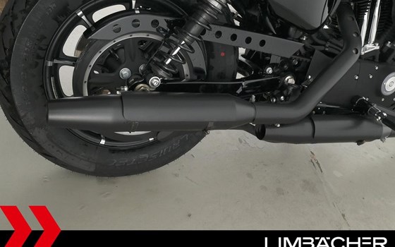 Gebrauchtmotorrad Harley-Davidson Sportster XL 883 - Bild 17