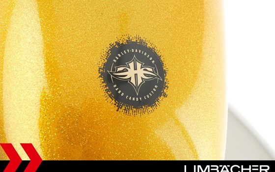 Gebrauchtmotorrad Harley-Davidson Sportster XL 883 - Bild 22