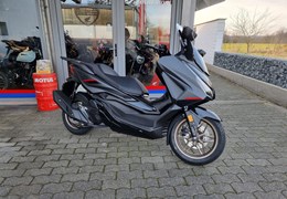 Neumotorrad Honda Forza 125