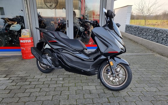 Neufahrzeug Honda Forza 125 - Bild 1