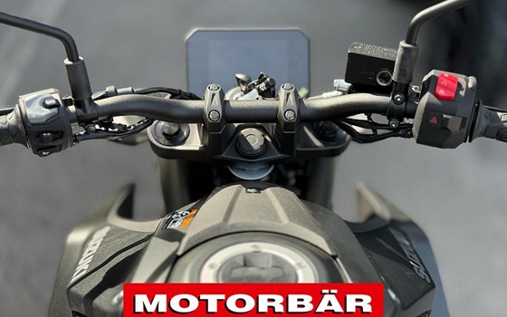 Neufahrzeug Suzuki GSX-8S - Bild 6 Neufahrzeug Suzuki GSX-8S - Bild 6