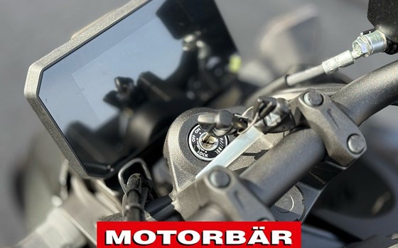 Neufahrzeug Suzuki GSX-8S - Bild 8 Neufahrzeug Suzuki GSX-8S - Bild 8