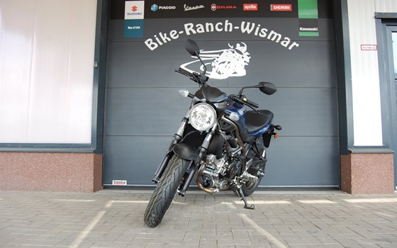 Neufahrzeug Suzuki SV650 - Bild 3