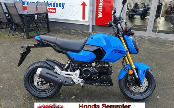 Gebrauchtmotorrad Honda MSX 125 - Bild 1