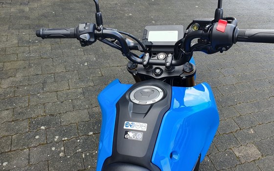 Neufahrzeug Honda MSX 125 - Bild 11