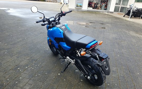 Neufahrzeug Honda MSX 125 - Bild 14