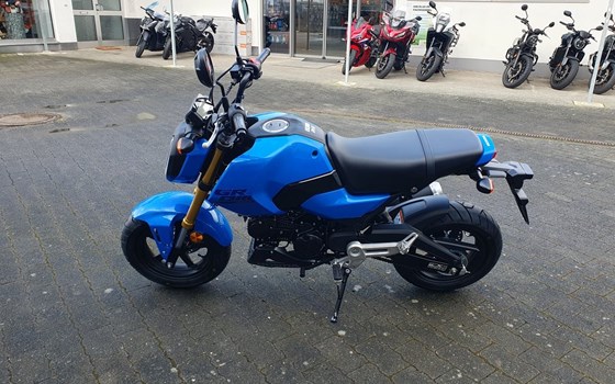 Gebrauchtmotorrad Honda MSX 125 - Bild 16