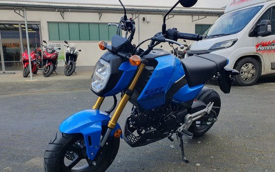 Neufahrzeug Honda MSX 125 - Bild 19
