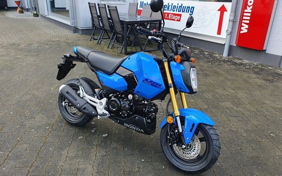 Neufahrzeug Honda MSX 125 - Bild 2