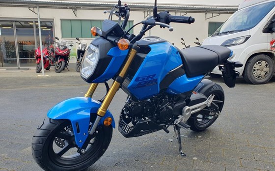 Gebrauchtmotorrad Honda MSX 125 - Bild 20