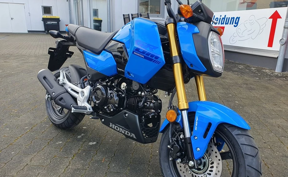 Angebot Honda MSX 125 Bild 4: Angebot Honda MSX 125