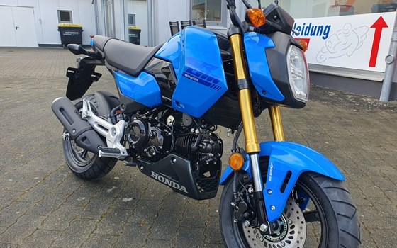 Gebrauchtmotorrad Honda MSX 125 - Bild 4