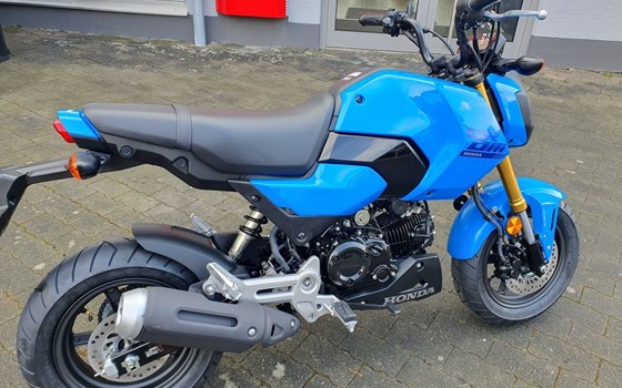 Neufahrzeug Honda MSX 125 - Bild 8