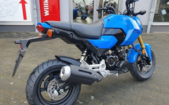 Gebrauchtmotorrad Honda MSX 125 - Bild 9