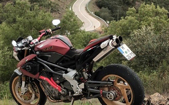 Gebrauchtmotorrad Benelli TNT 1130 - Bild 1