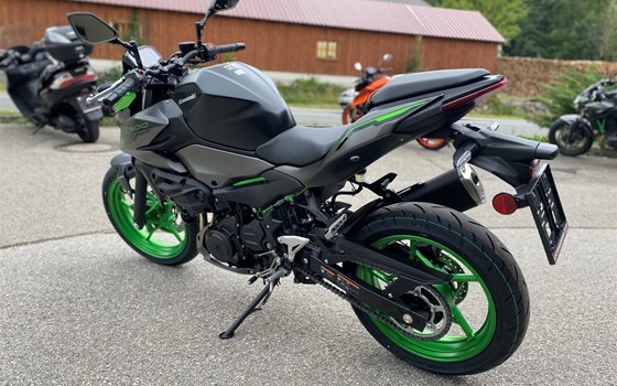 Neufahrzeug Kawasaki Z 500 SE - Bild 4 Neufahrzeug Kawasaki Z 500 SE - Bild 4