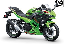 Neumotorrad Kawasaki Ninja 500 SE