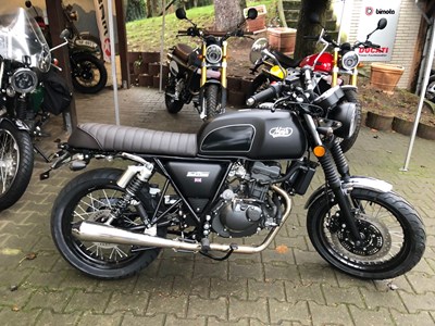 Black Seven