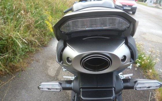 Neufahrzeug Honda CBR600RR - Bild 10